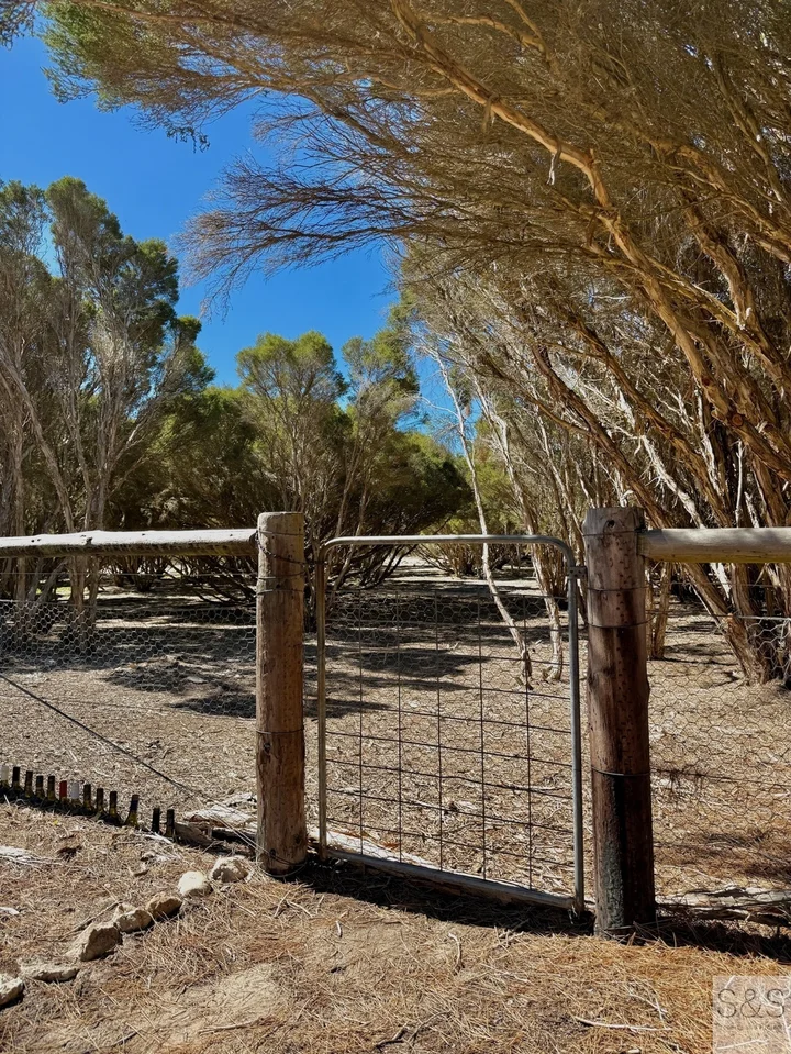 Additional image 26 of 10 Fourth Street, Sapphiretown SA 5222