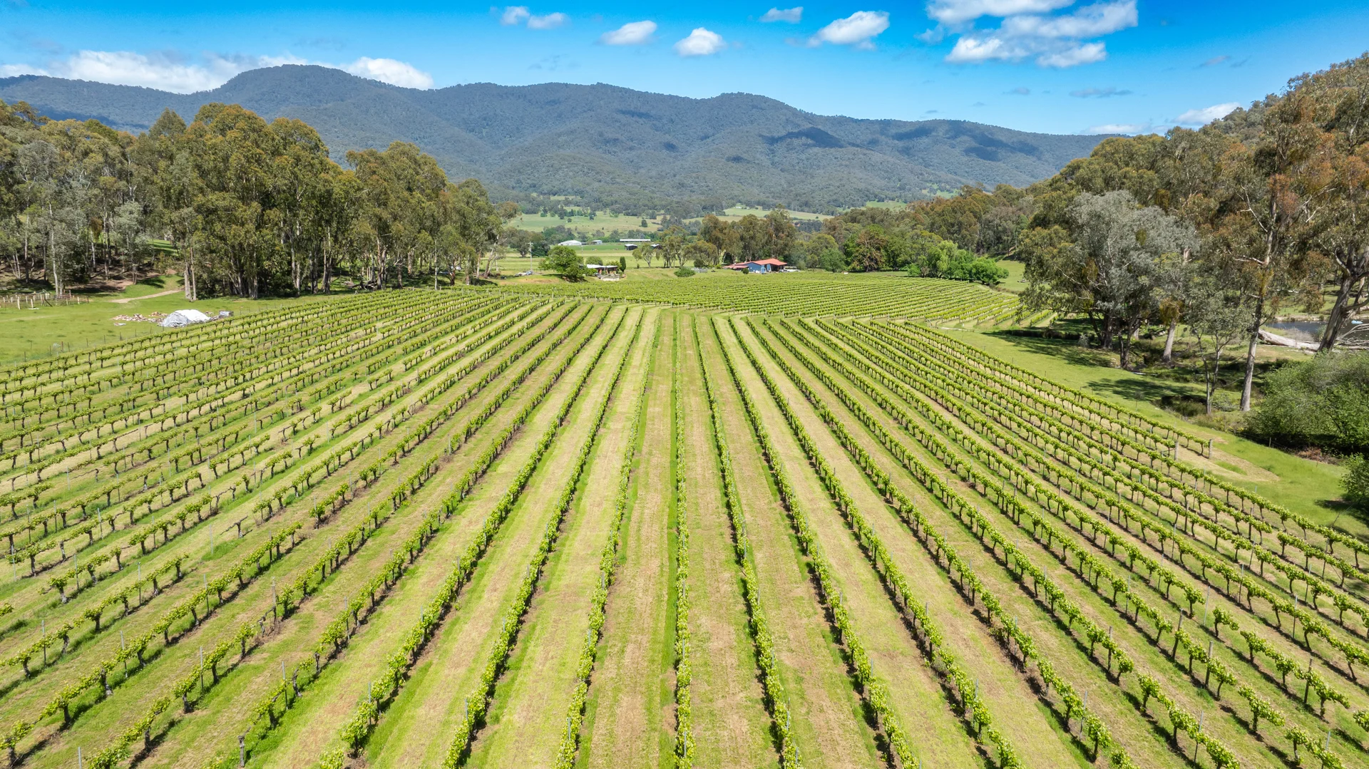 Additional image 15 of 285 Bay Creek Lane, Mongans Bridge VIC 3691