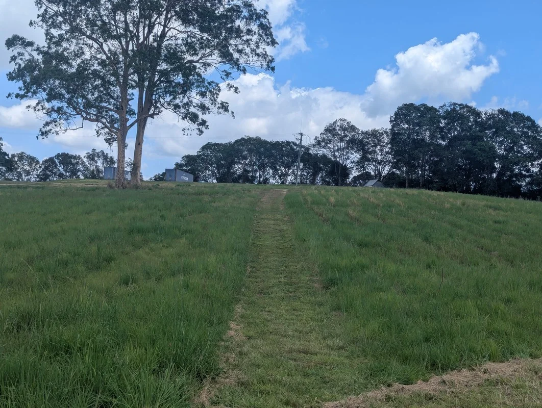 Additional image 23 of 2433 Old Bruce Highway, Coles Creek QLD 4570