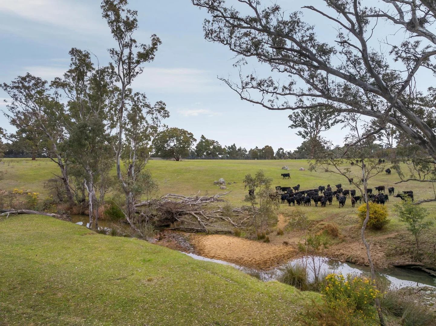 Additional image 3 of 67 Owens Road, Elphinstone VIC 3448