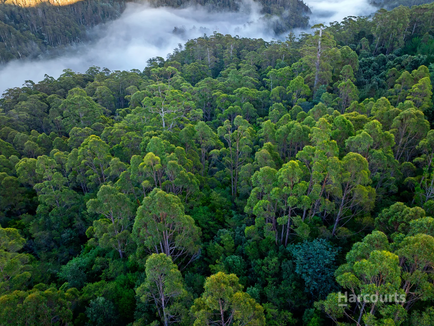 Additional image 5 of 654 West Calder Road, Calder TAS 7325