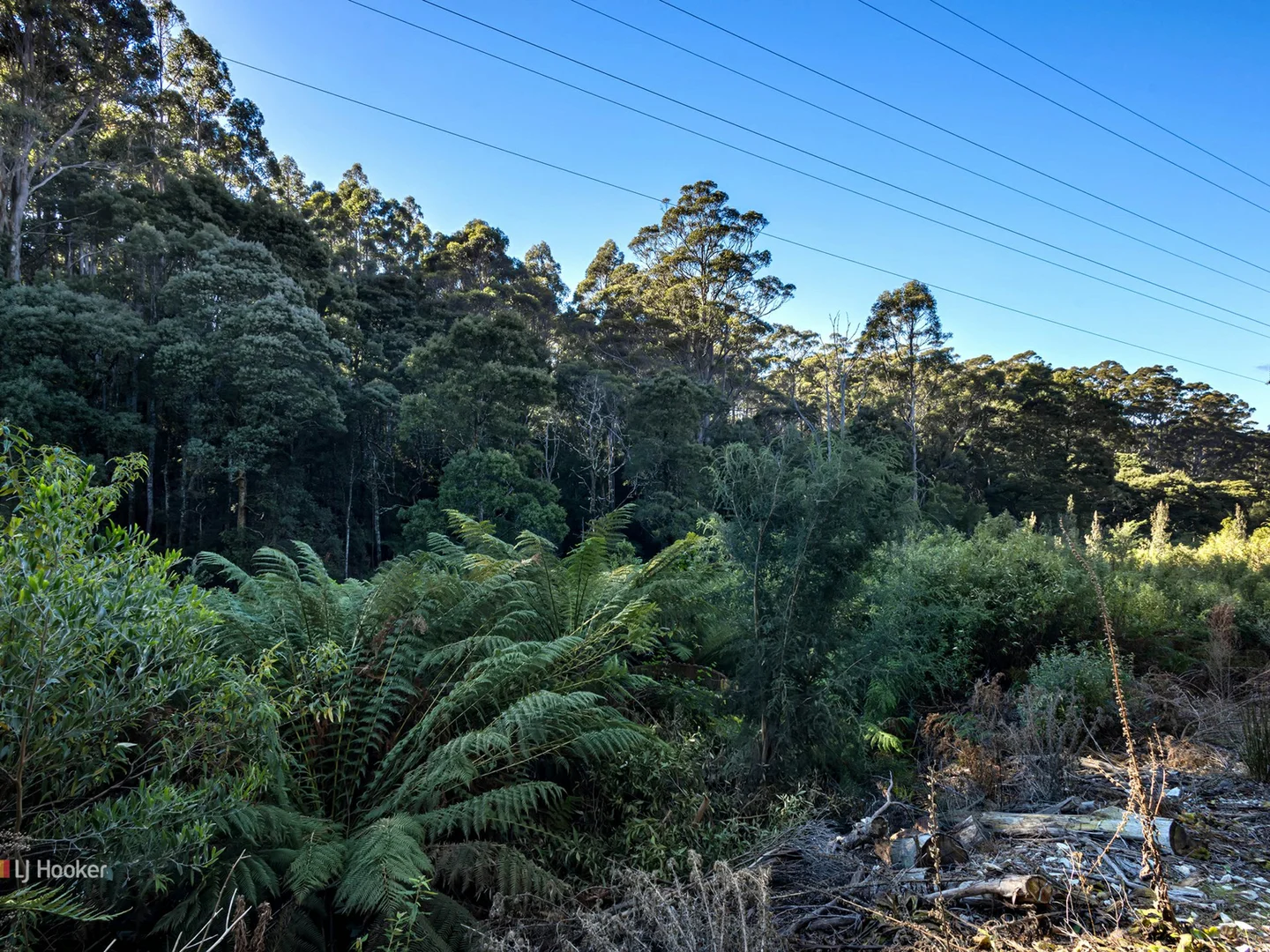 Additional image 3 of 0 Pages Road, Moorleah TAS 7325