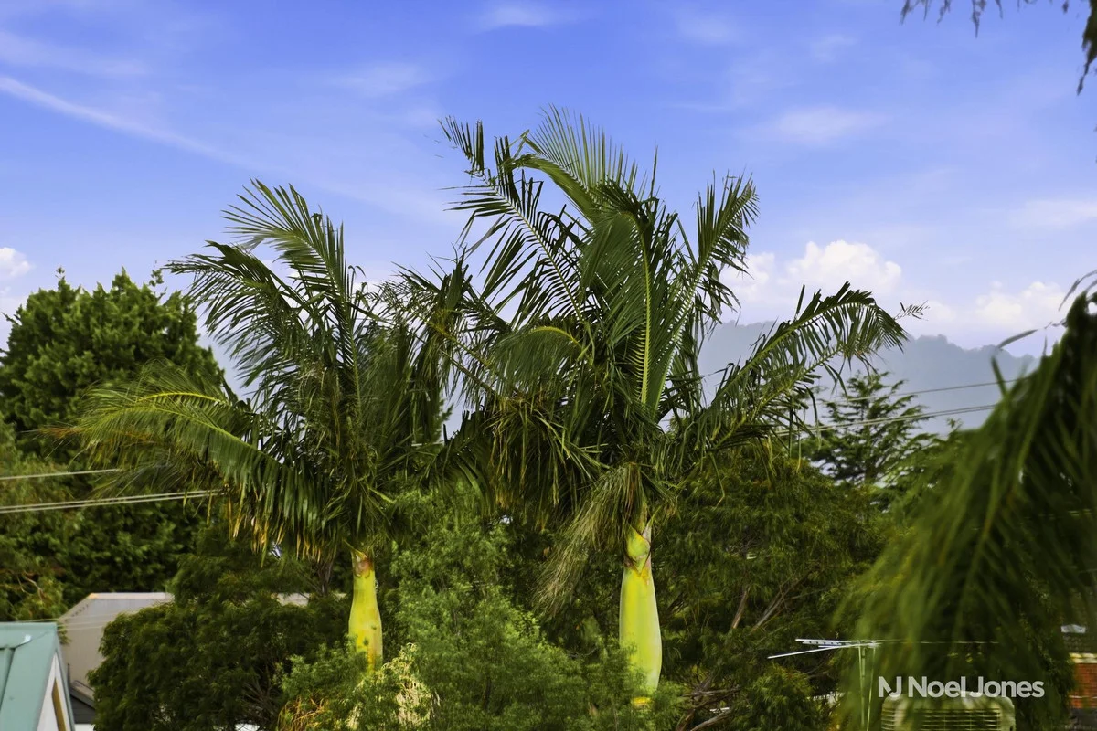 Additional image 16 of 13/3 Ashley Street, Wantirna VIC 3152