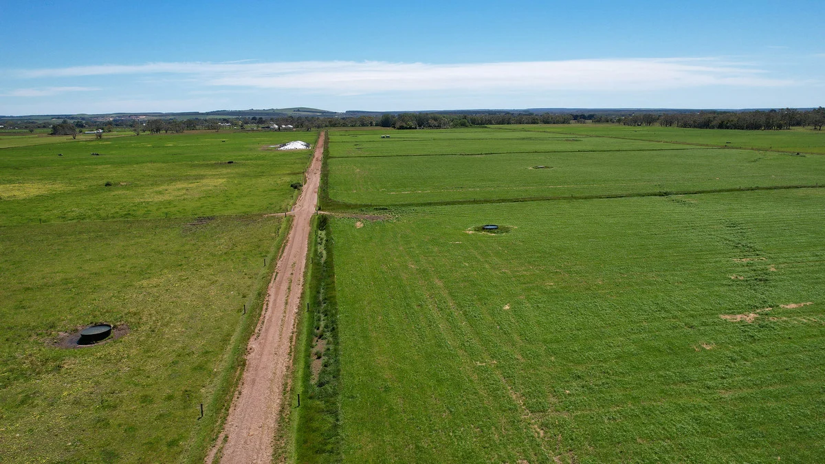 Additional image 41 of 111 Smith Street, Heywood VIC 3304