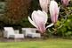 Additional image 29 of Yester Road, Chislehurst, Kent, BR7