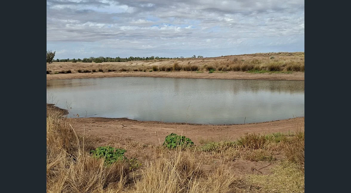 Additional image 17 of Alloway, Gilgandra NSW 2827