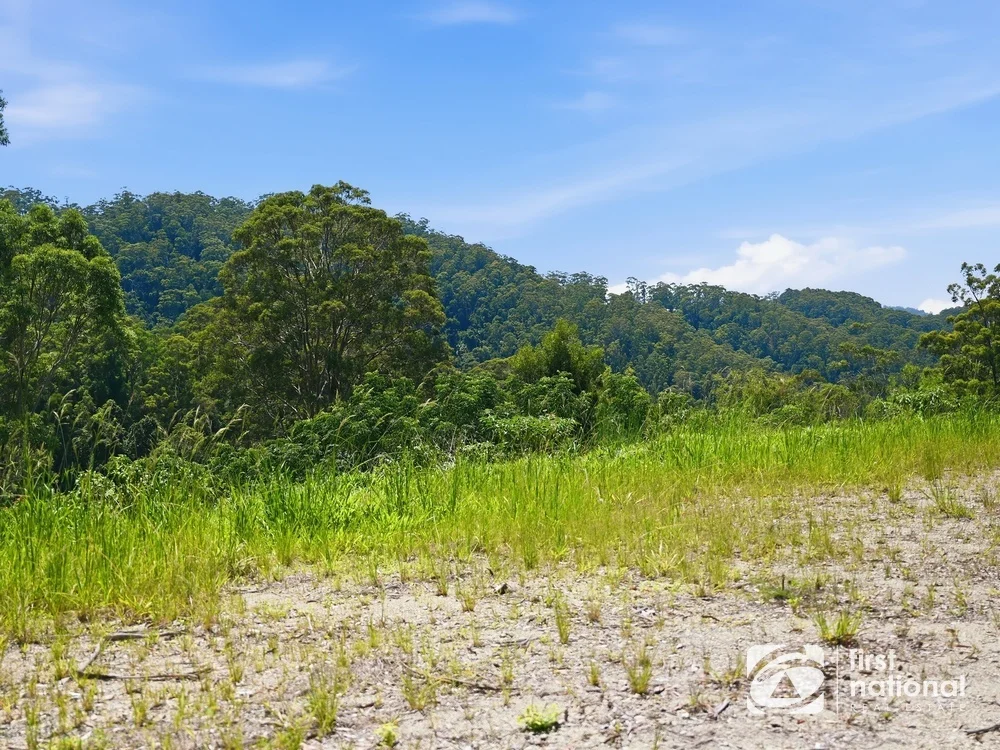 Additional image 13 of Lot 65 North Island Loop Road, Upper Orara NSW 2450