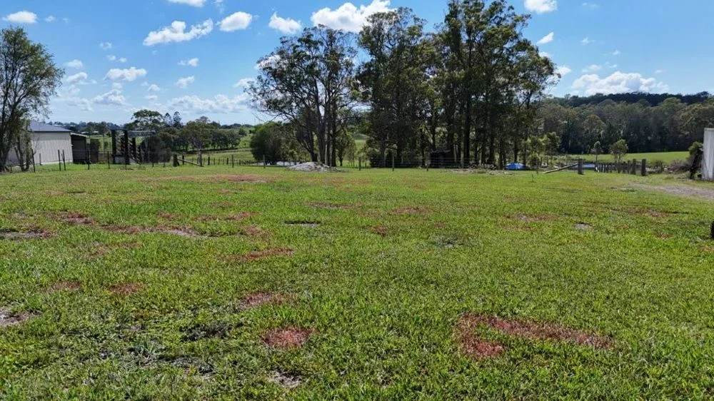 Additional image 6 of Lot 101 Lika Drive, Euroka NSW 2440