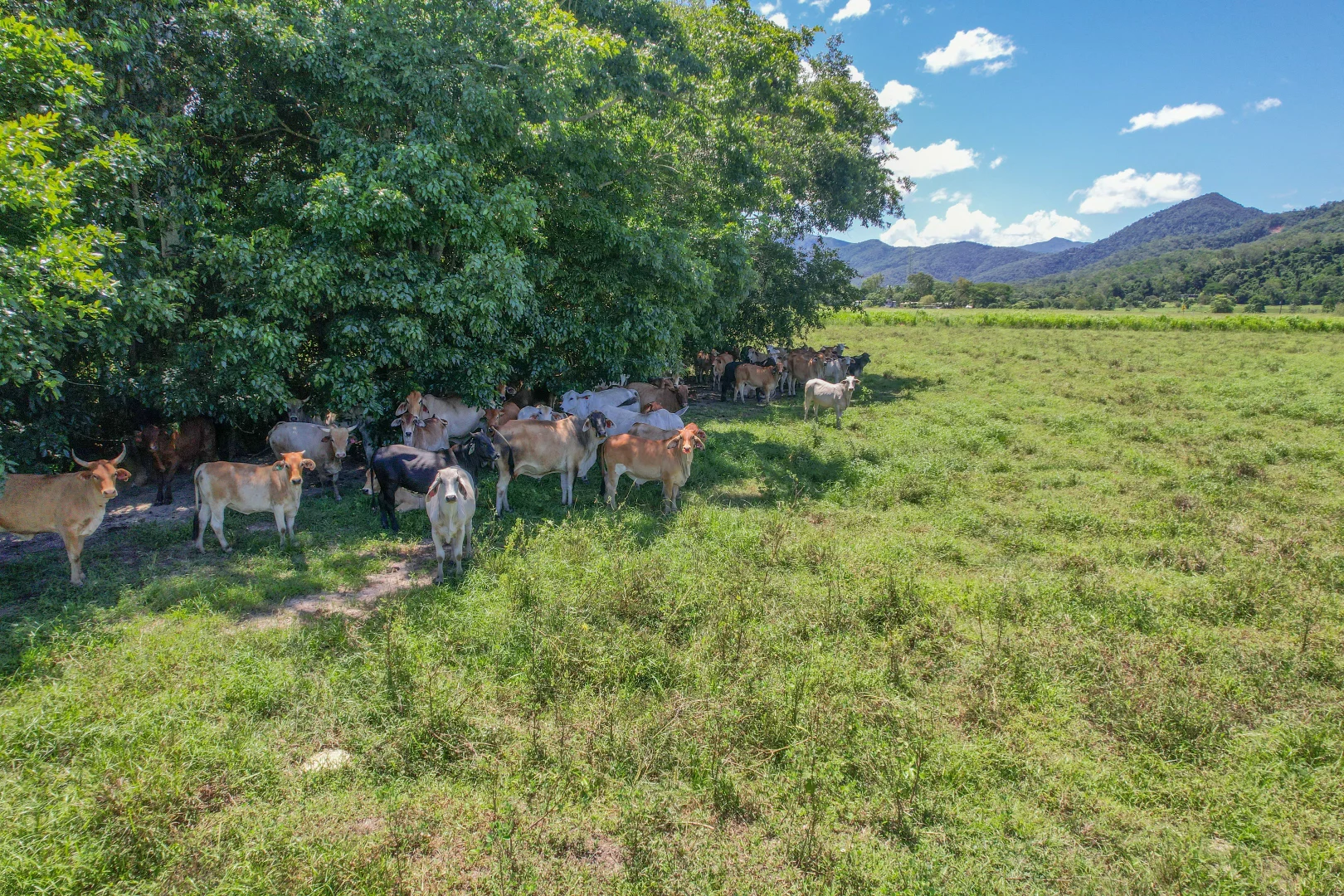 Additional image 19 of Lot 2 Bruce Highway, Bemerside QLD 4850