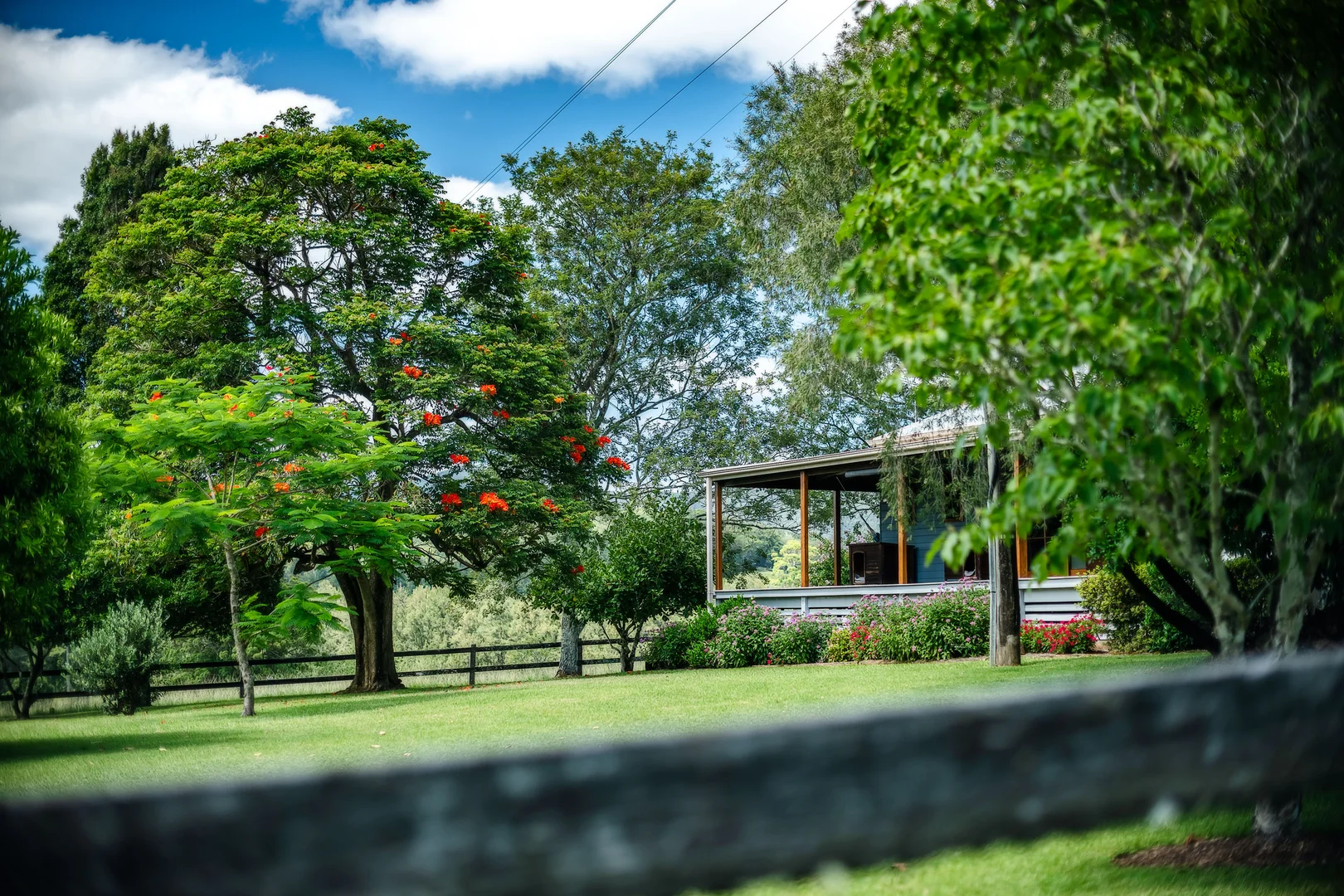 Additional image 29 of 2791 Waterfall Way, Thora NSW 2454