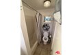 Additional image 10 of 1041 W 1st St, San Pedro, CA, 90731