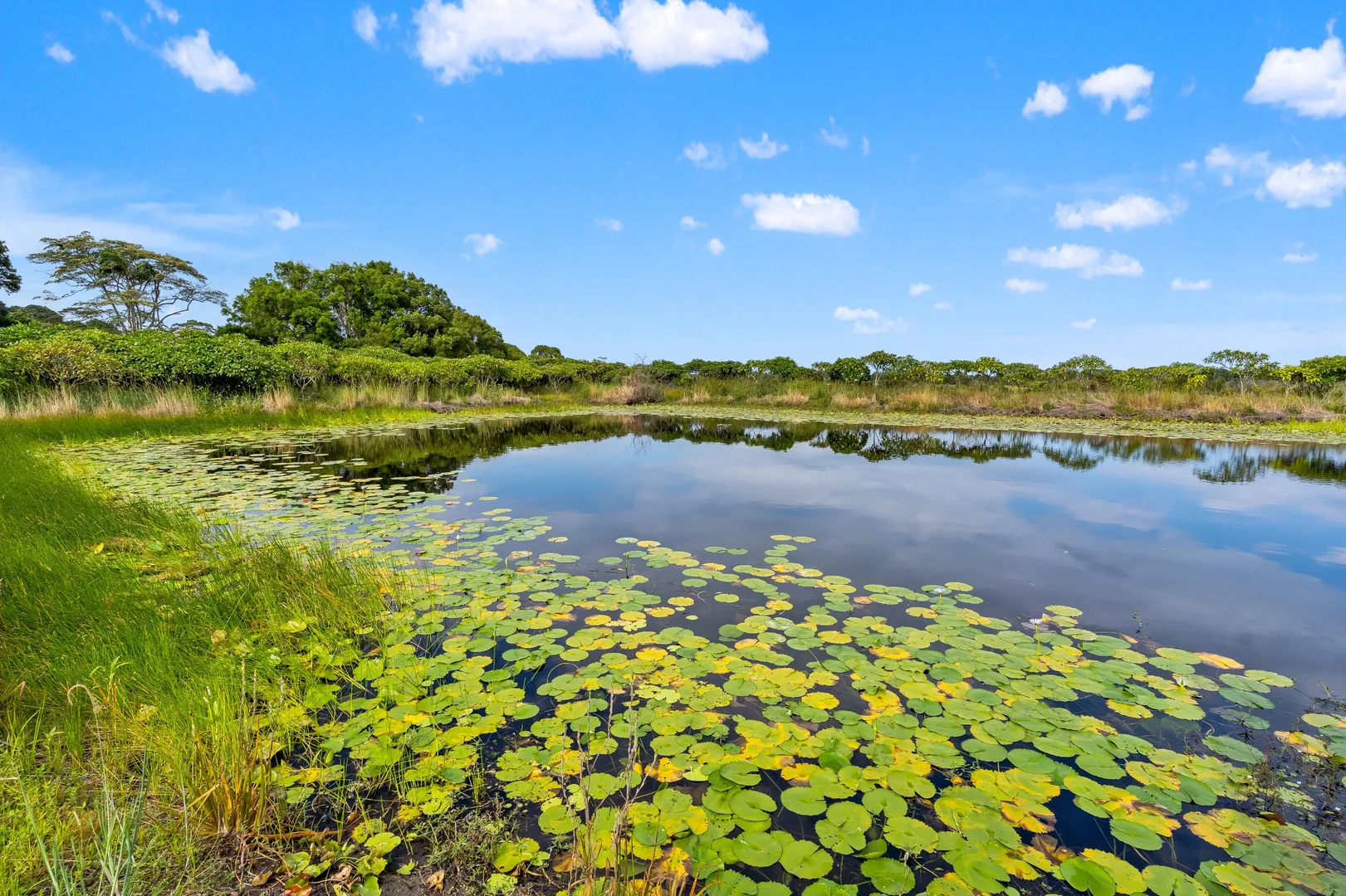 Additional image 15 of 16 Sartories Road, Pimlico NSW 2478