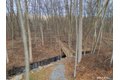 Additional image 39 of 2 Brookview Heights Ct, Shelton, CT, 06484