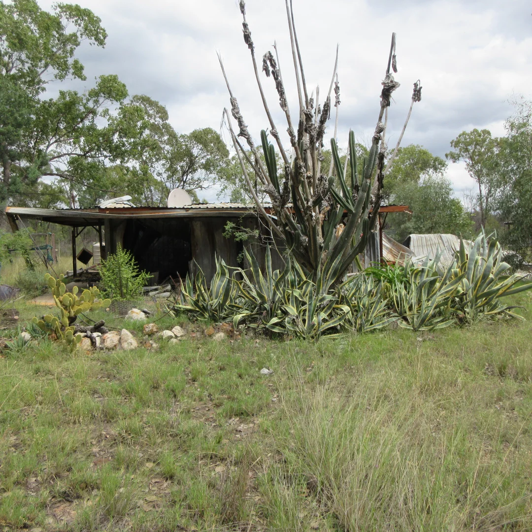 Additional image 13 of Tara QLD 4421