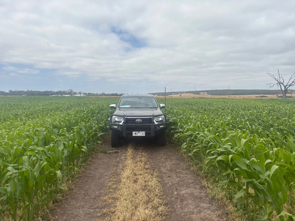 Additional image 8 of 111 Smith Street, Heywood VIC 3304