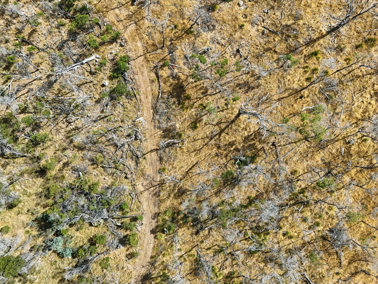 Additional image 40 of 75 Prossers Forest Road, Ravenswood TAS 7250