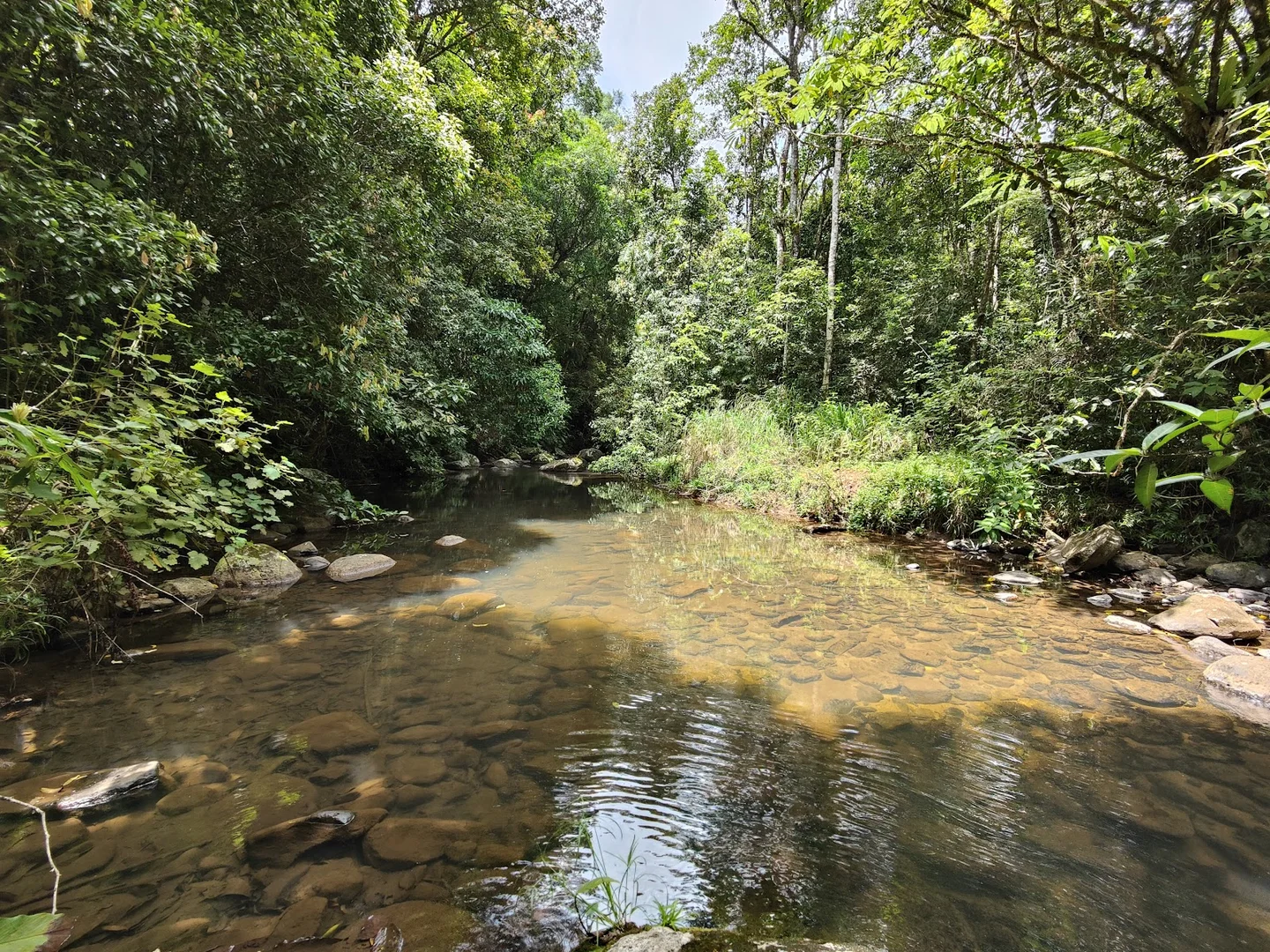 Additional image 15 of 9 Middlebrook Rd, Millaa Millaa QLD 4886