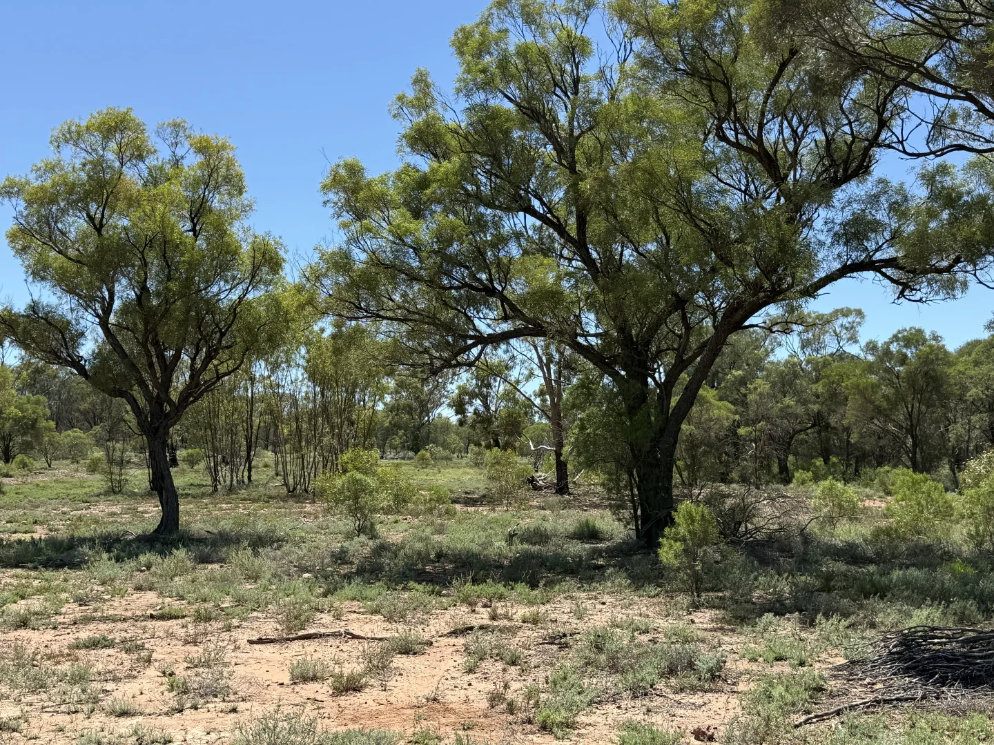 Additional image 35 of 1684 Diamantina Developmental Road, Charleville QLD 4470