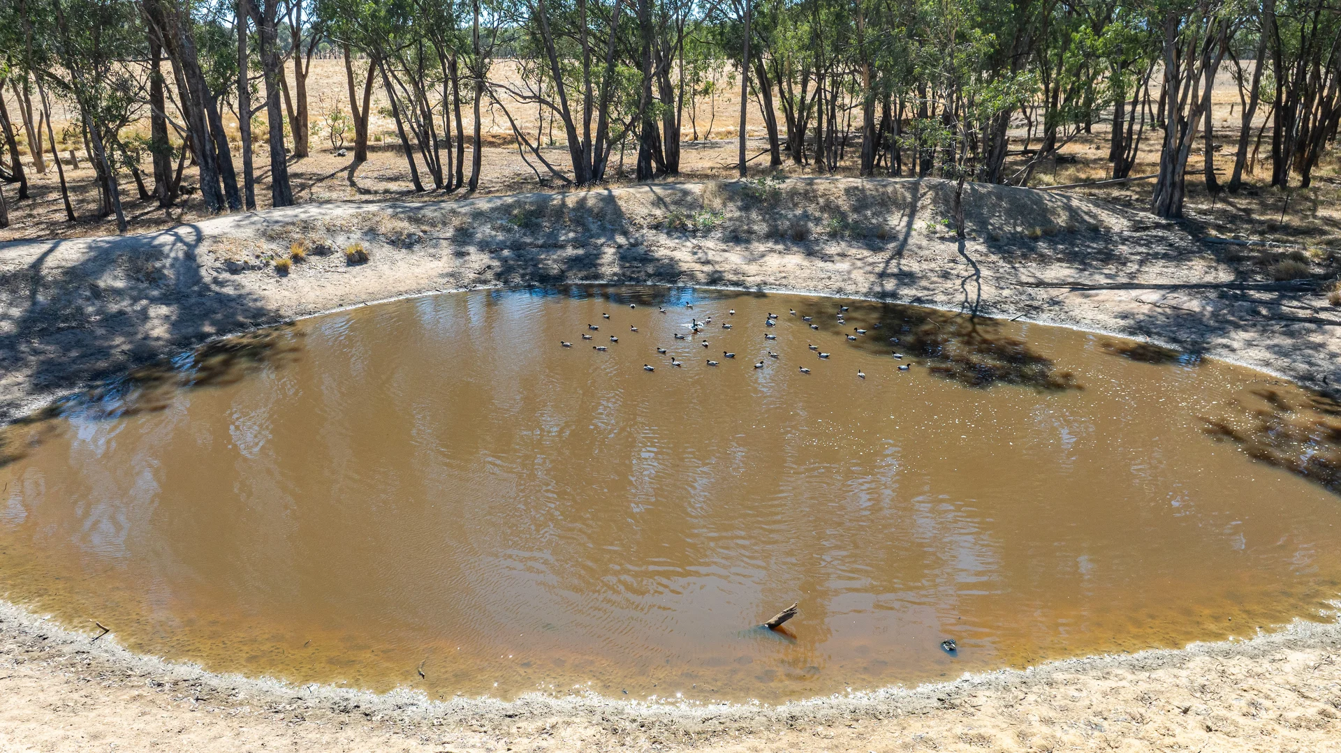 Additional image 6 of 175 Toveys Road, Chiltern VIC 3683