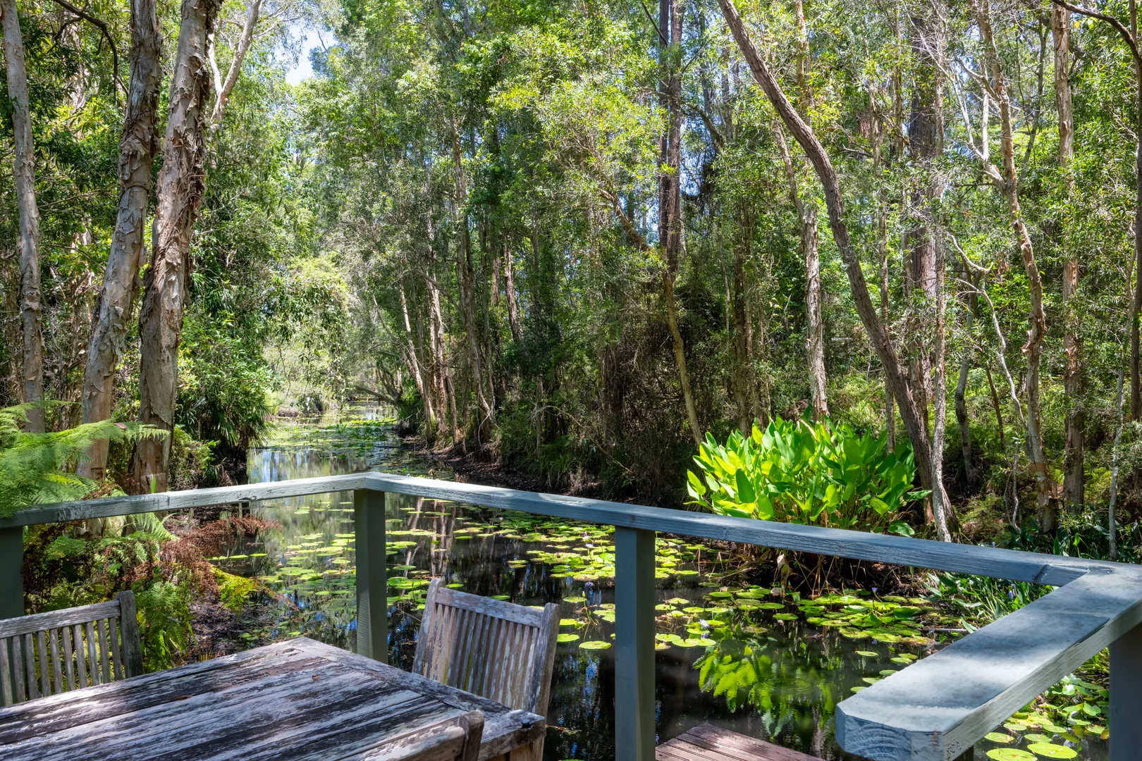 Additional image 13 of 2536 Solitary Islands Way, Arrawarra NSW 2456