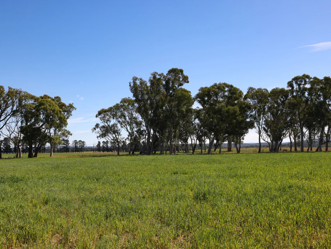 Additional image 8 of 710 Inverary Road, Paddys River NSW 2577