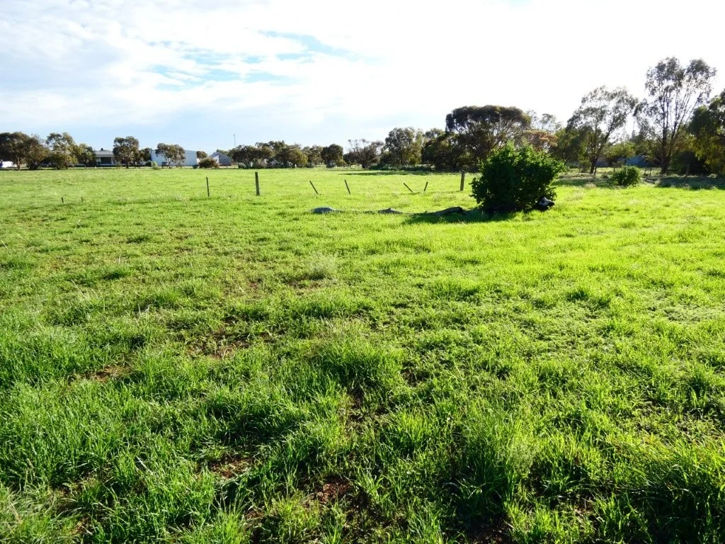 Additional image 2 of 45 Bell Street, Beulah VIC 3395