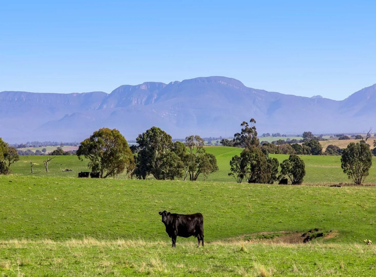 Additional image 16 of 940 Ballarat-Carngham Road, Cardigan VIC 3352