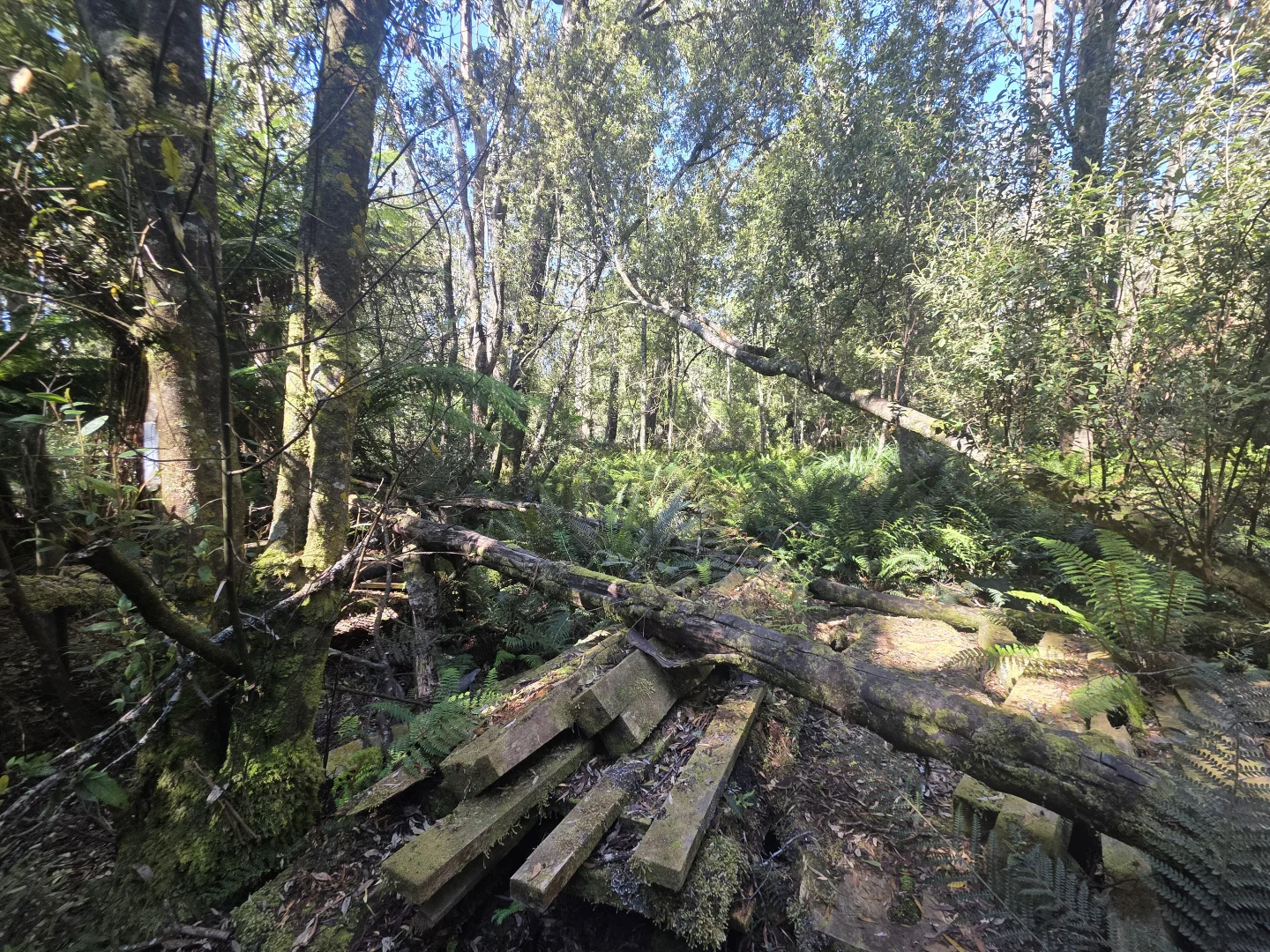 Additional image 7 of lot 1 1824490 Edward Street West Coast [Balfour], Temma TAS 7330