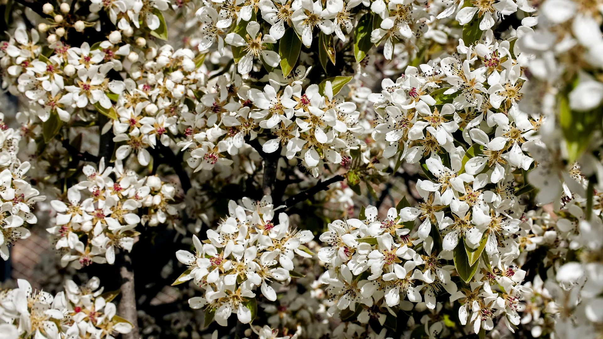 Additional image 16 of 389 Auburn Road, Beaconsfield TAS 7270