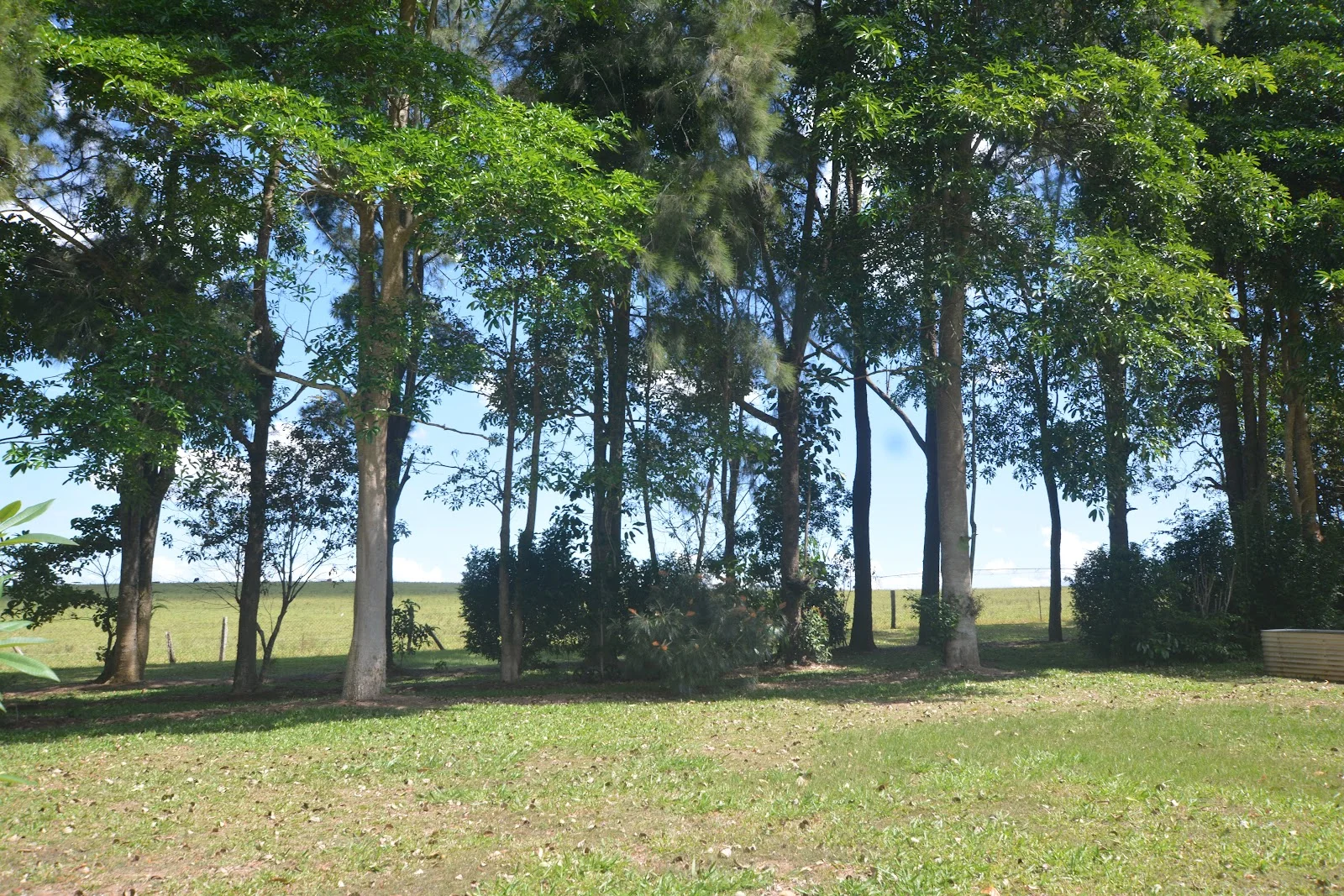 Additional image 50 of 20 Russell Road, Lake Eacham QLD 4884