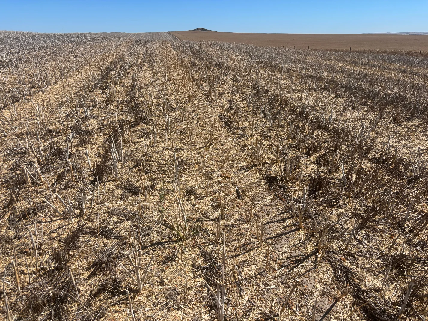 Additional image 21 of 6062 Coorow-Greenhead Road, Warradarge WA 6518