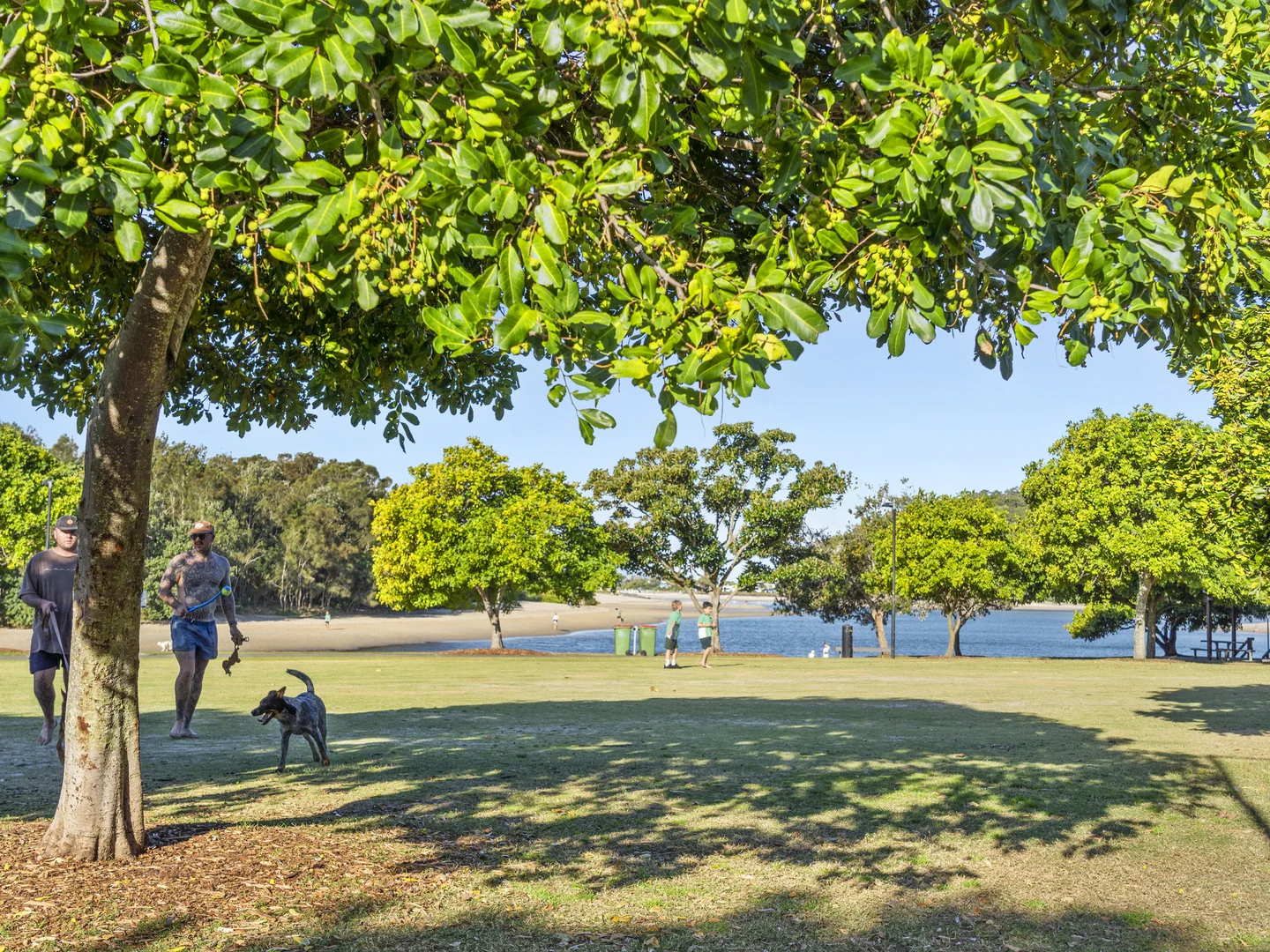 Additional image 28 of 5 Coorabin Court, Tallebudgera QLD 4228