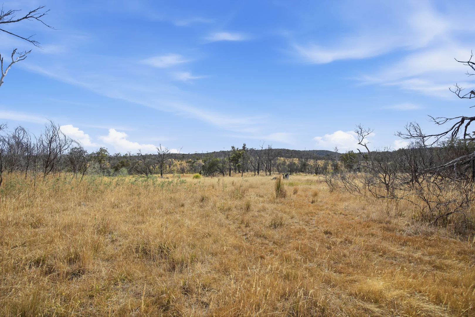 Additional image 16 of 75 Prossers Forest Road, Ravenswood TAS 7250