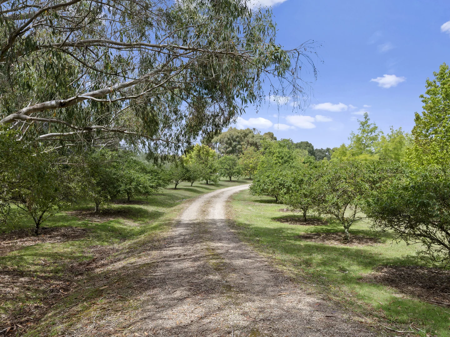 Additional image 14 of 2 Bromfield Drive, Tolmie VIC 3723