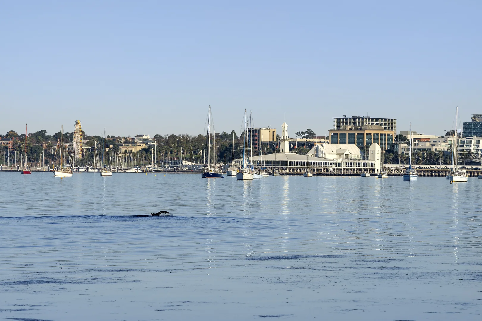 Additional image 10 of 505/100 Western Beach Road, Geelong VIC 3220