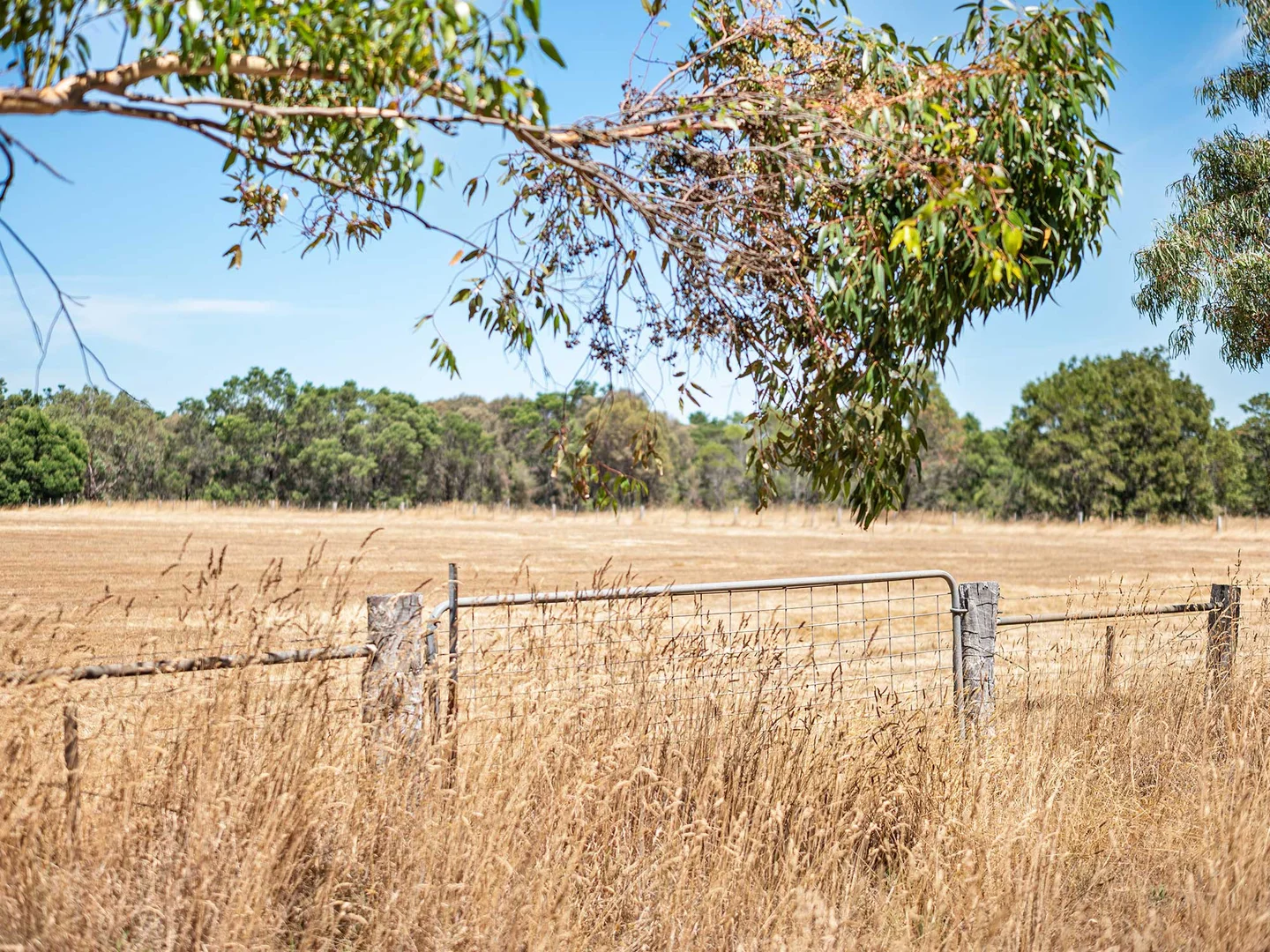 Additional image 11 of 42 Beveridges Road, Hamilton VIC 3300