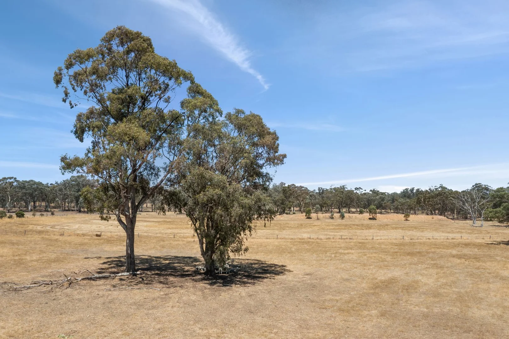 Additional image 12 of Lot 1 Longlea Lane, Longlea VIC 3551