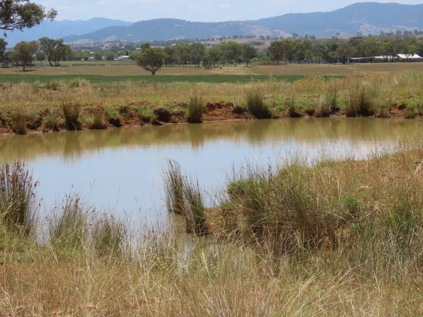 Additional image 4 of "Wattle-wee-doo" 14213 New England HWY, Timbumburi NSW 2340