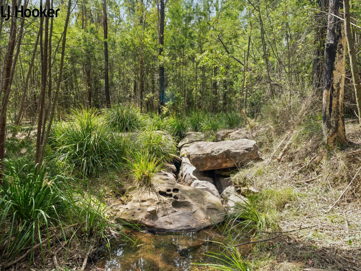 Additional image 29 of 788 Bugong Road, Budgong, Kangaroo Valley NSW 2577