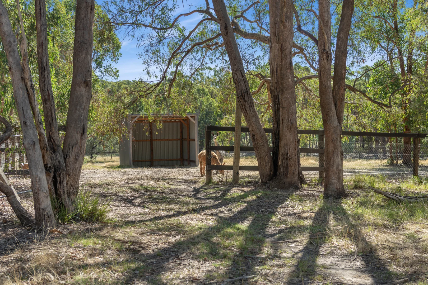 Additional image 32 of 37 Portwines Road, Lauriston VIC 3444