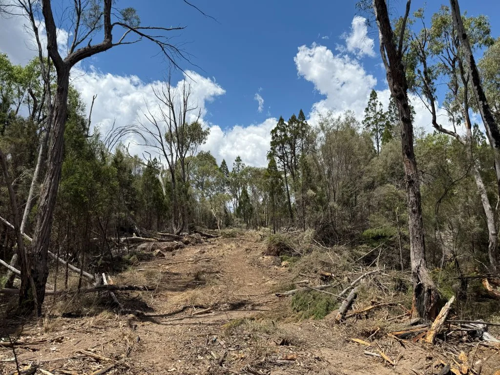 Additional image 25 of Lot/89 Fletcher Road, Ballandean QLD 4382