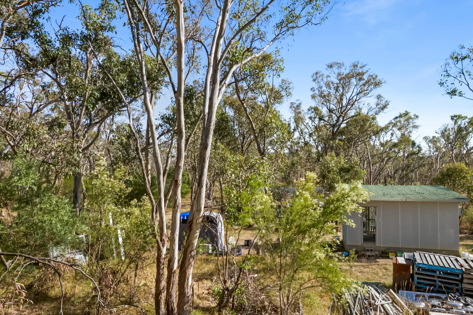 Additional image 4 of 55 Panhandle Road, Uralla NSW 2358