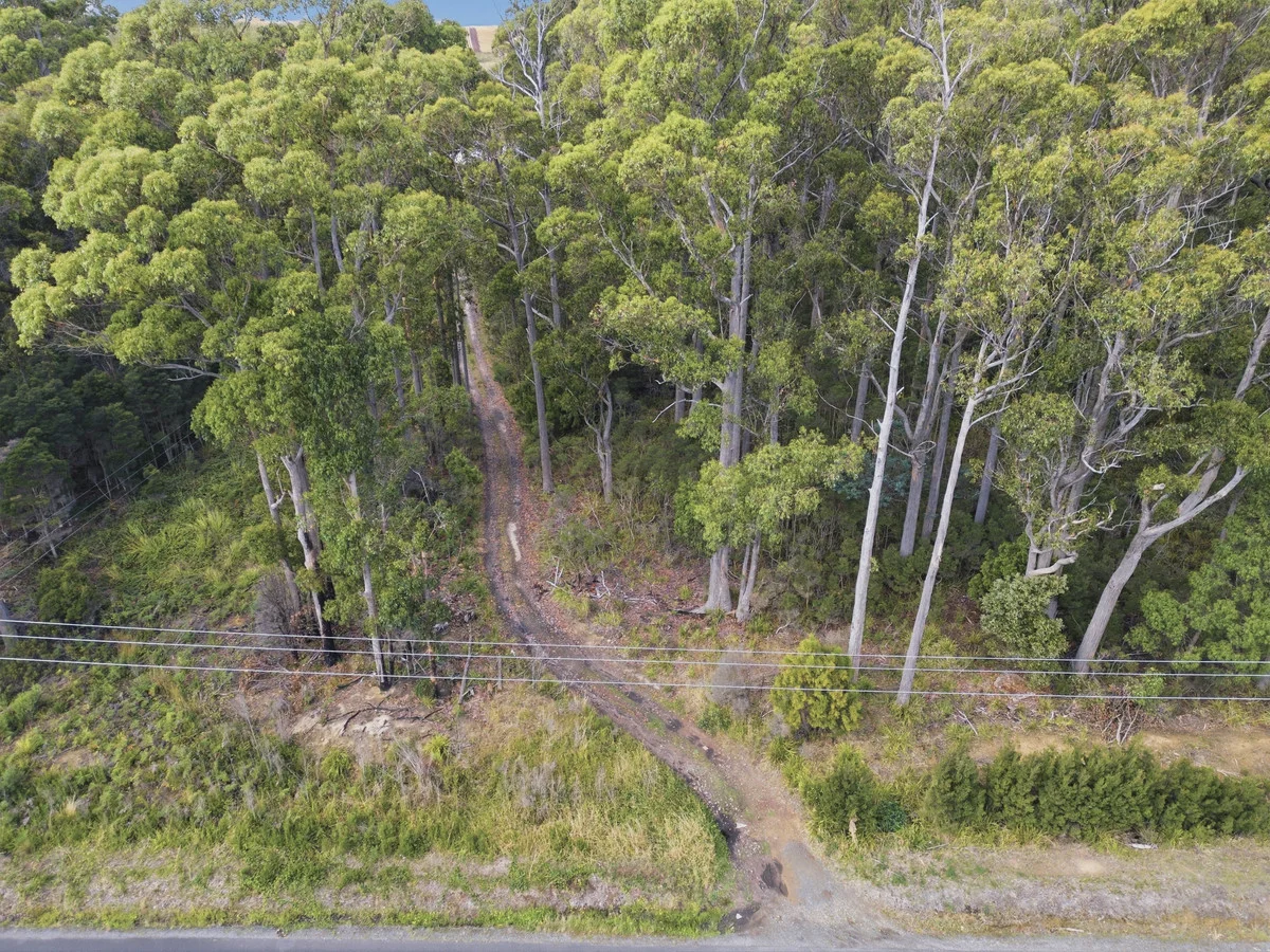 Additional image 6 of Native Plains Road, Sassafras TAS 7307