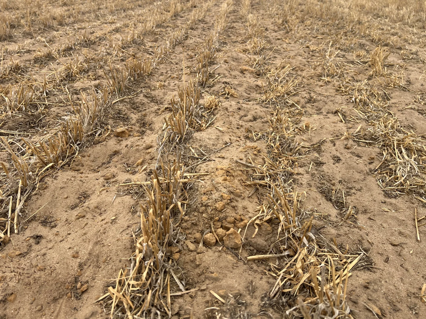 Additional image 8 of 183 Kulkawurra Road, Karoonda SA 5307