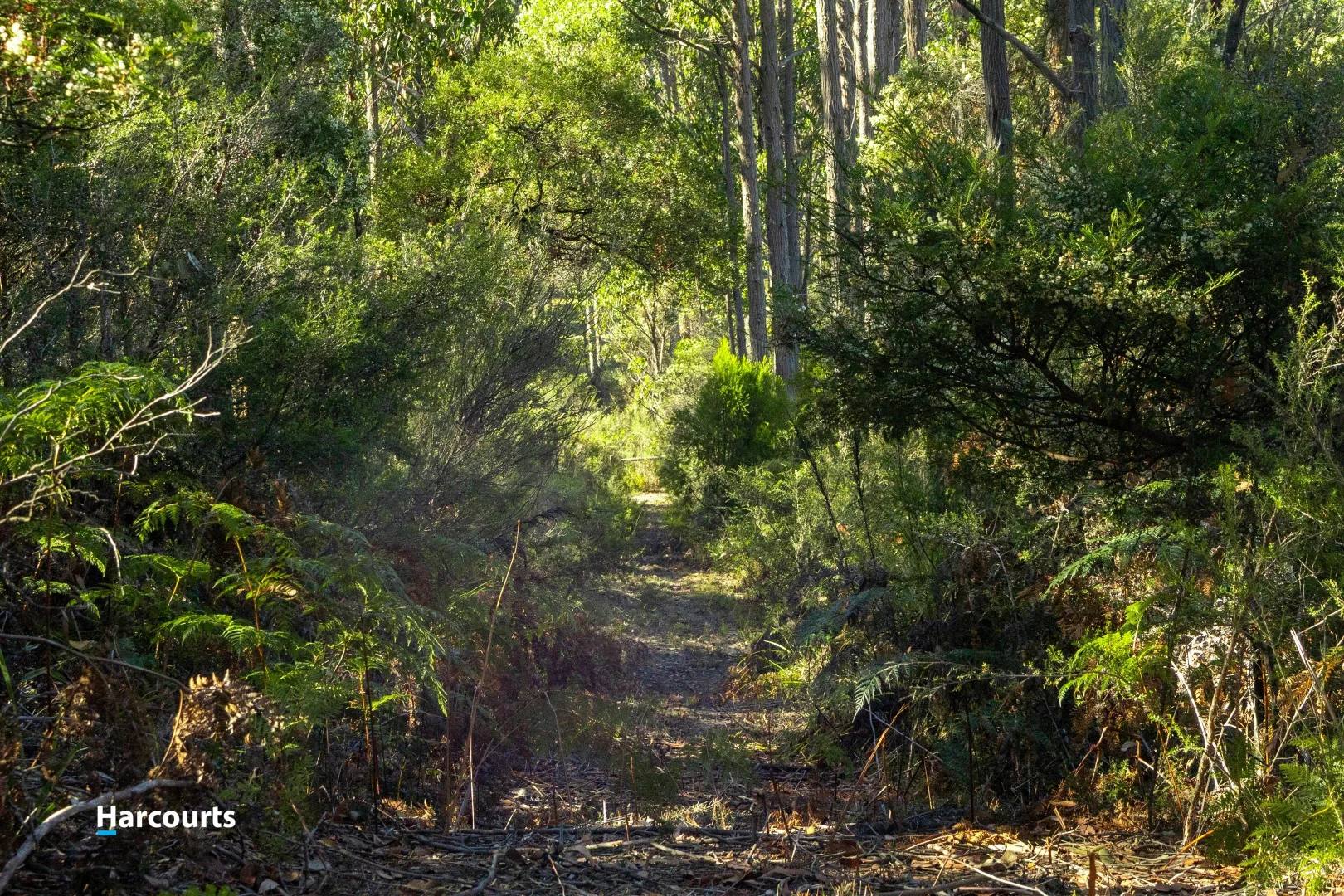 Additional image 12 of 15 Stella Court, Surges Bay TAS 7116