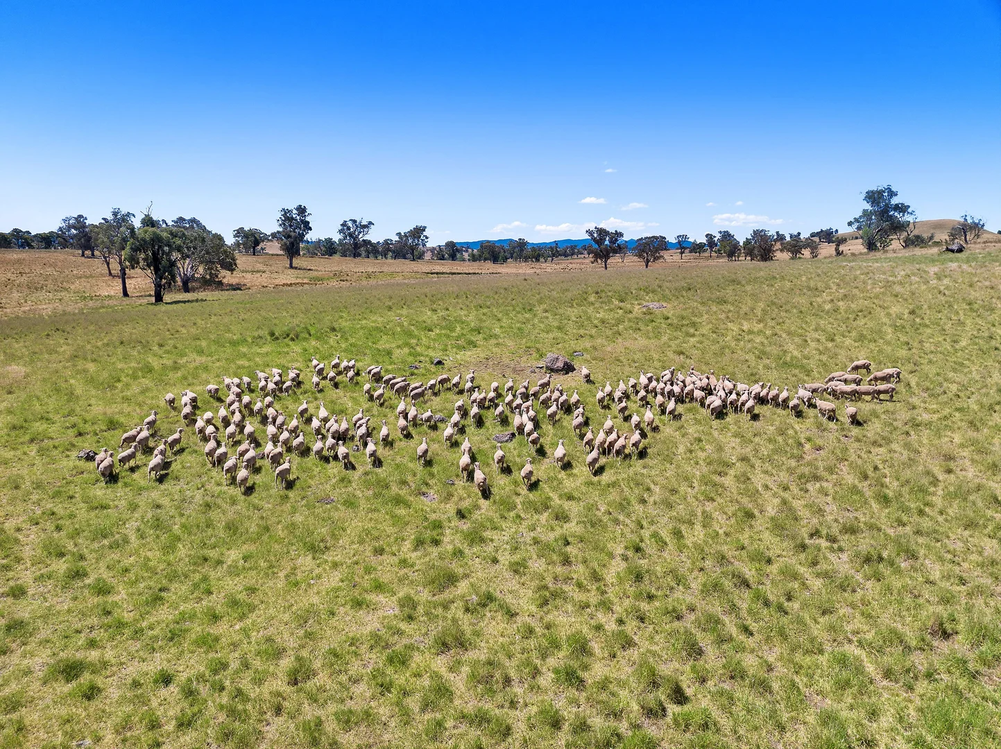 Additional image 7 of 2593 Four Mile Creek Road, Orange NSW 2800