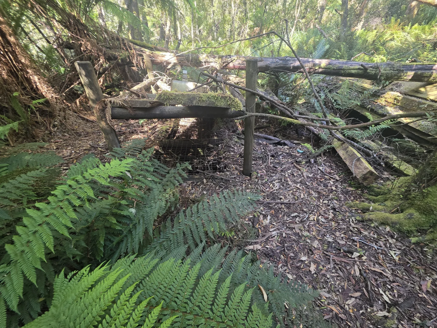 Additional image 2 of lot 1 1824490 Edward Street West Coast [Balfour], Temma TAS 7330