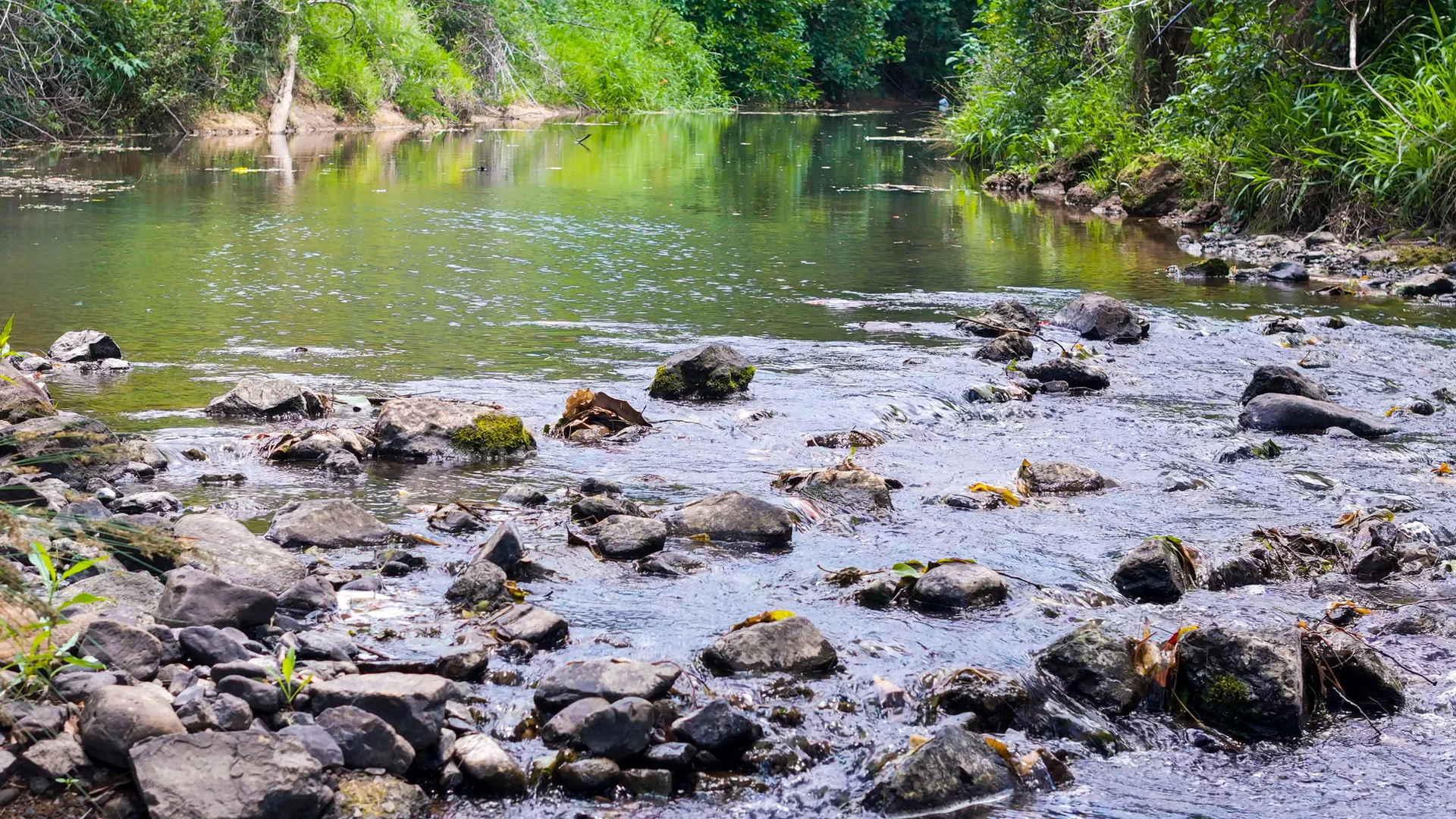 Additional image 30 of 722 Main Arm Road, Main Arm NSW 2482