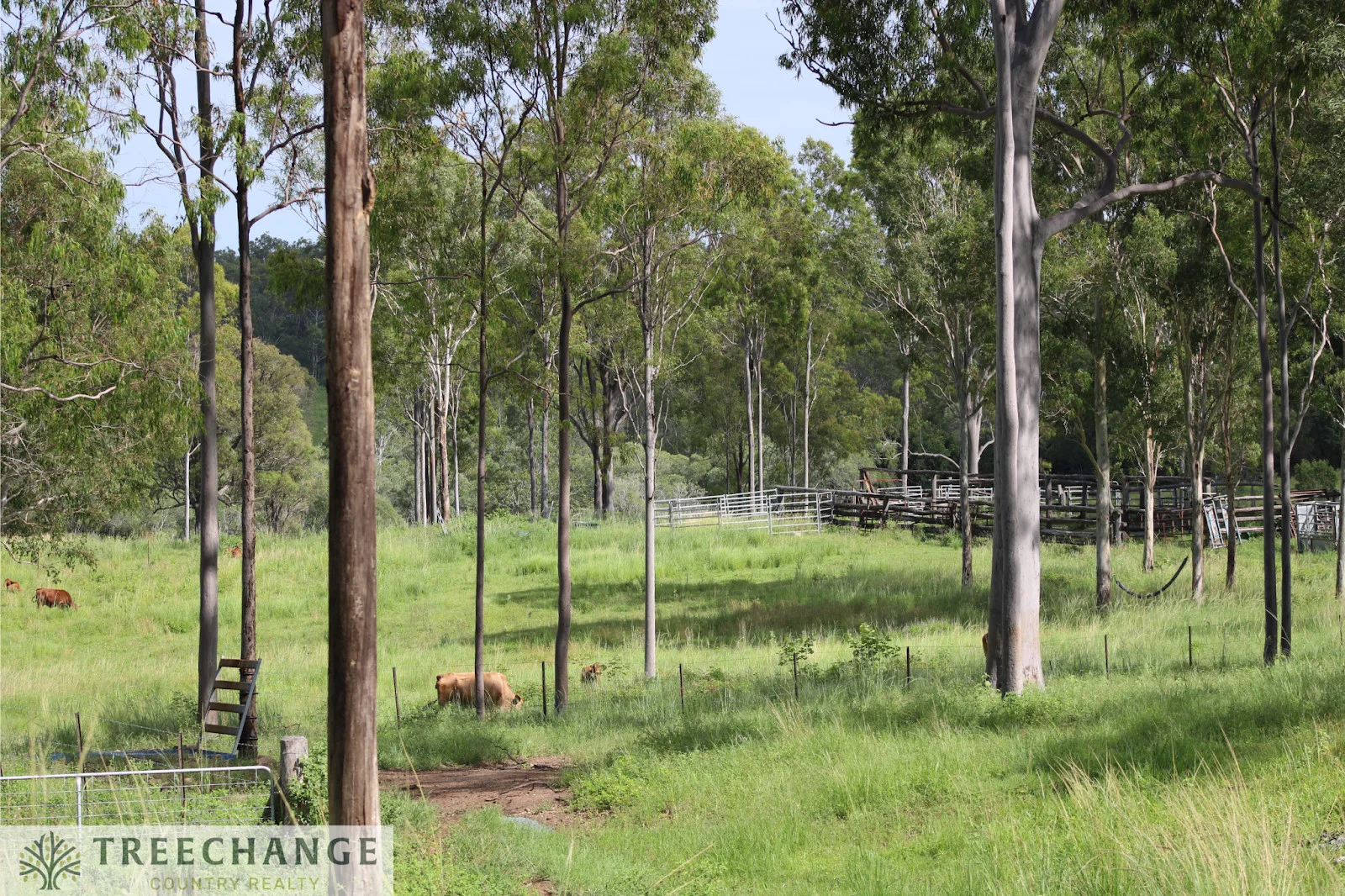 Additional image 10 of 5594 Isis Highway, Childers QLD 4660
