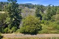 Additional image 36 of 289 Alaska Pl, Friday Harbor, WA, 98250